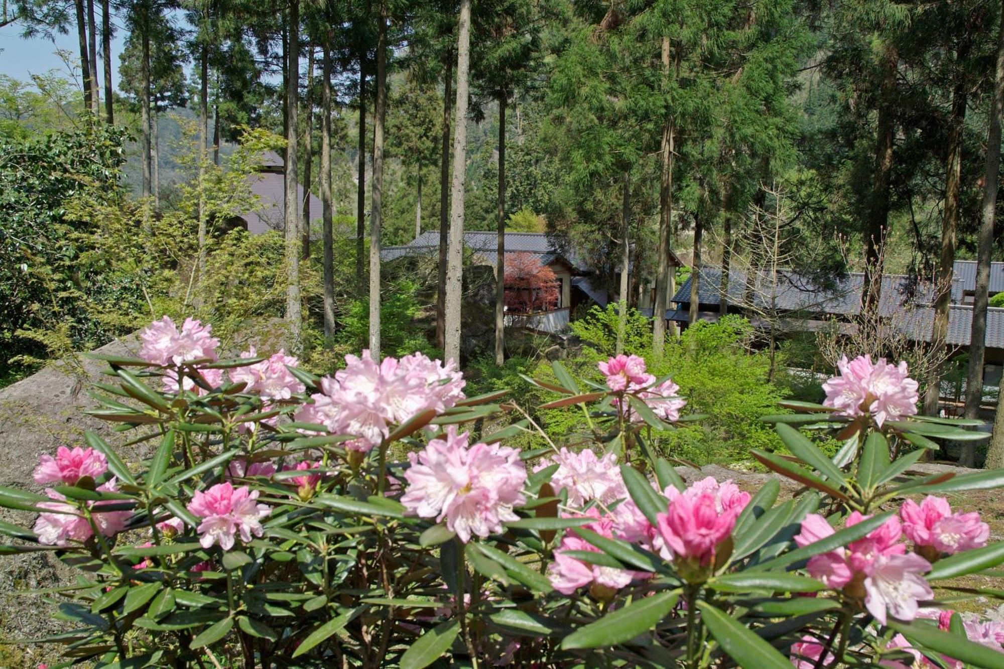 Auberge Funoki Nakatsu Zewnętrze zdjęcie