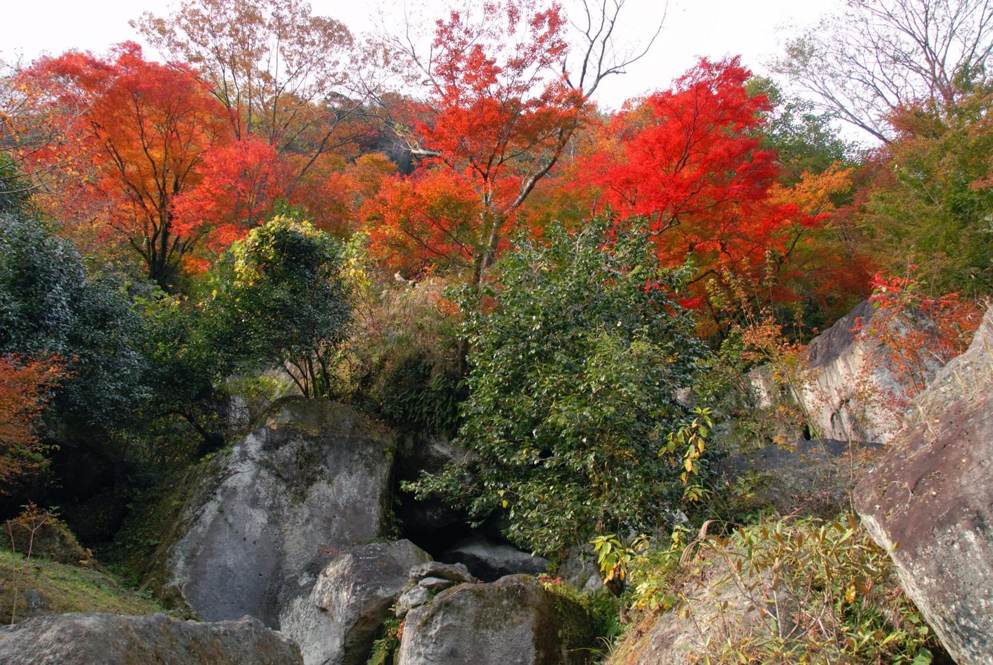 Auberge Funoki Nakatsu Zewnętrze zdjęcie