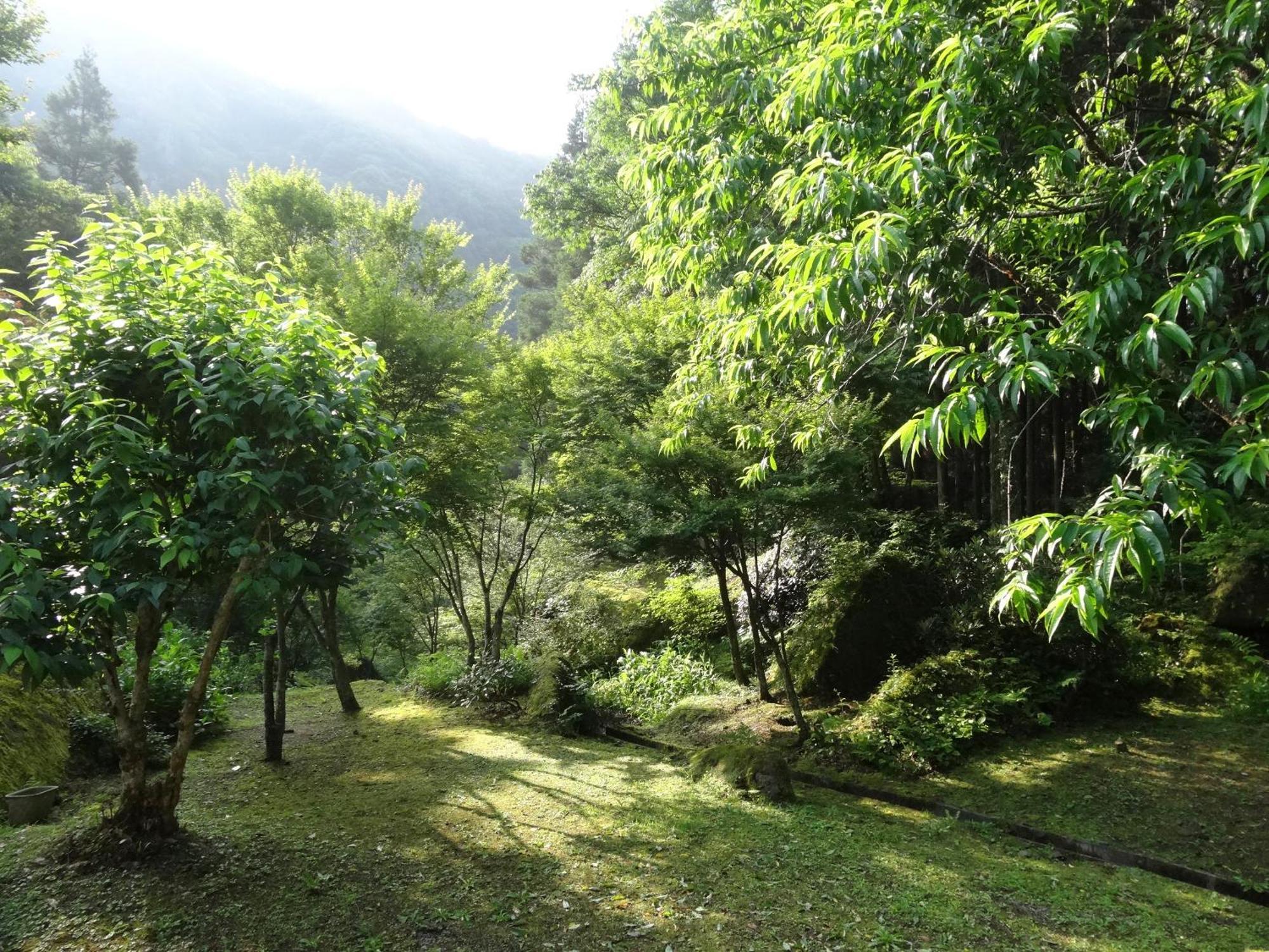 Auberge Funoki Nakatsu Zewnętrze zdjęcie